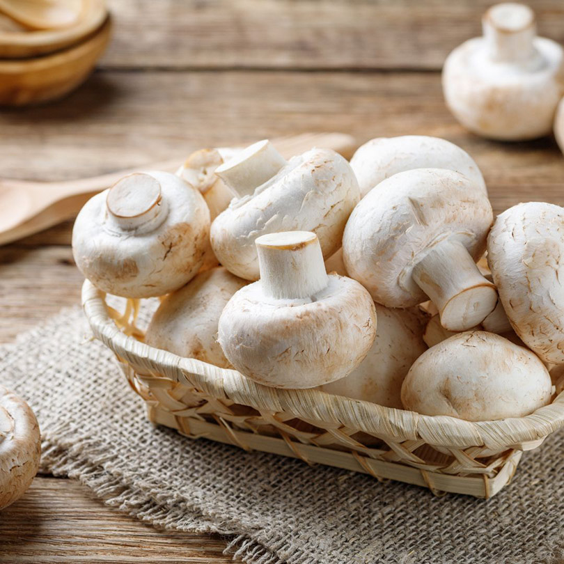 cogumelos