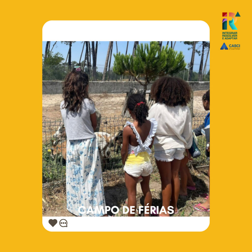campo de ferias Aguas de agosto
