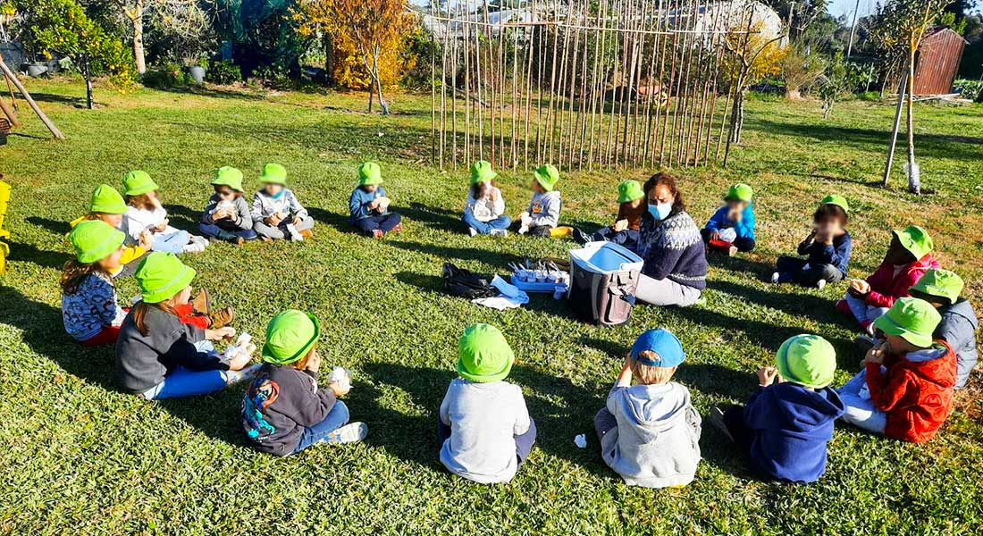 casci-preescolar-quinta