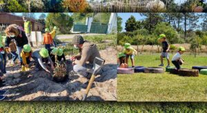 casci-preescolar-quinta1