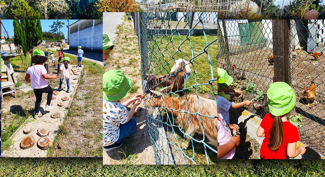 casci-preescolar-quinta2