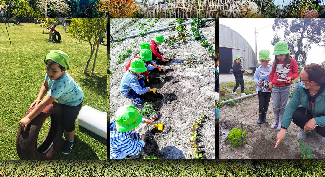 casci-preescolar-quinta3